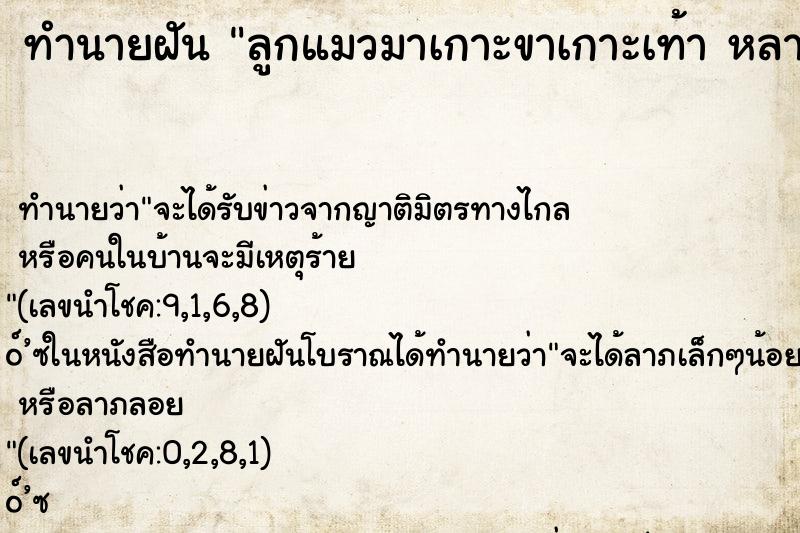 ทำนายฝัน ลูกแมวมาเกาะขาเกาะเท้า หลายตัว ทำนายฝัน ลูกแมวมาเกาะขาเกาะเท้า หลายตัว